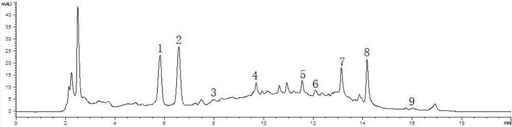 Construction method and application of standard characteristic chromatogram of Chinese patent medicine pharyngitis-treating tablet