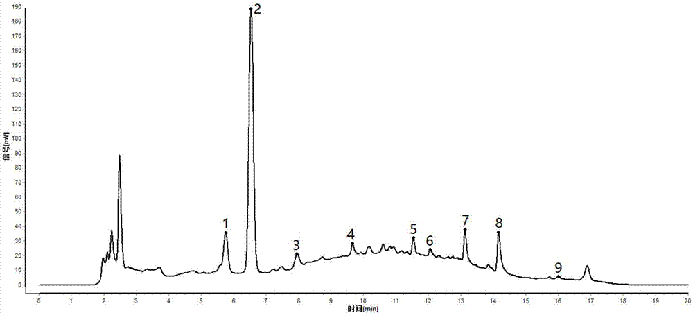 Construction method and application of standard characteristic chromatogram of Chinese patent medicine pharyngitis-treating tablet