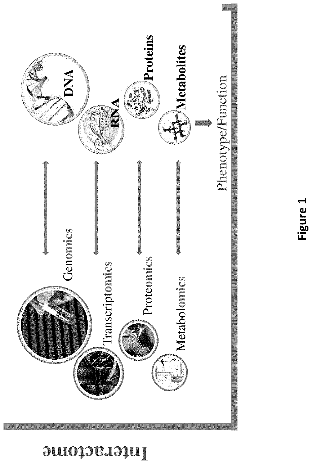 Methods and systems for identifying modulators of pervasive developmental disorders