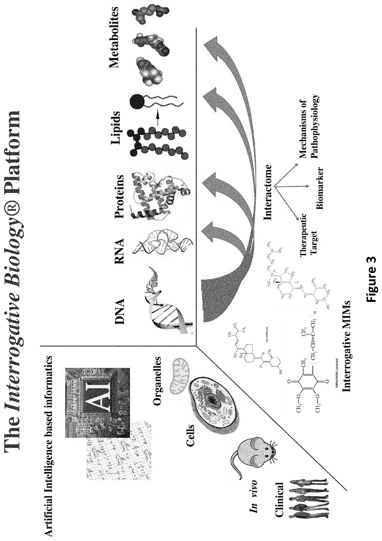 Methods and systems for identifying modulators of pervasive developmental disorders