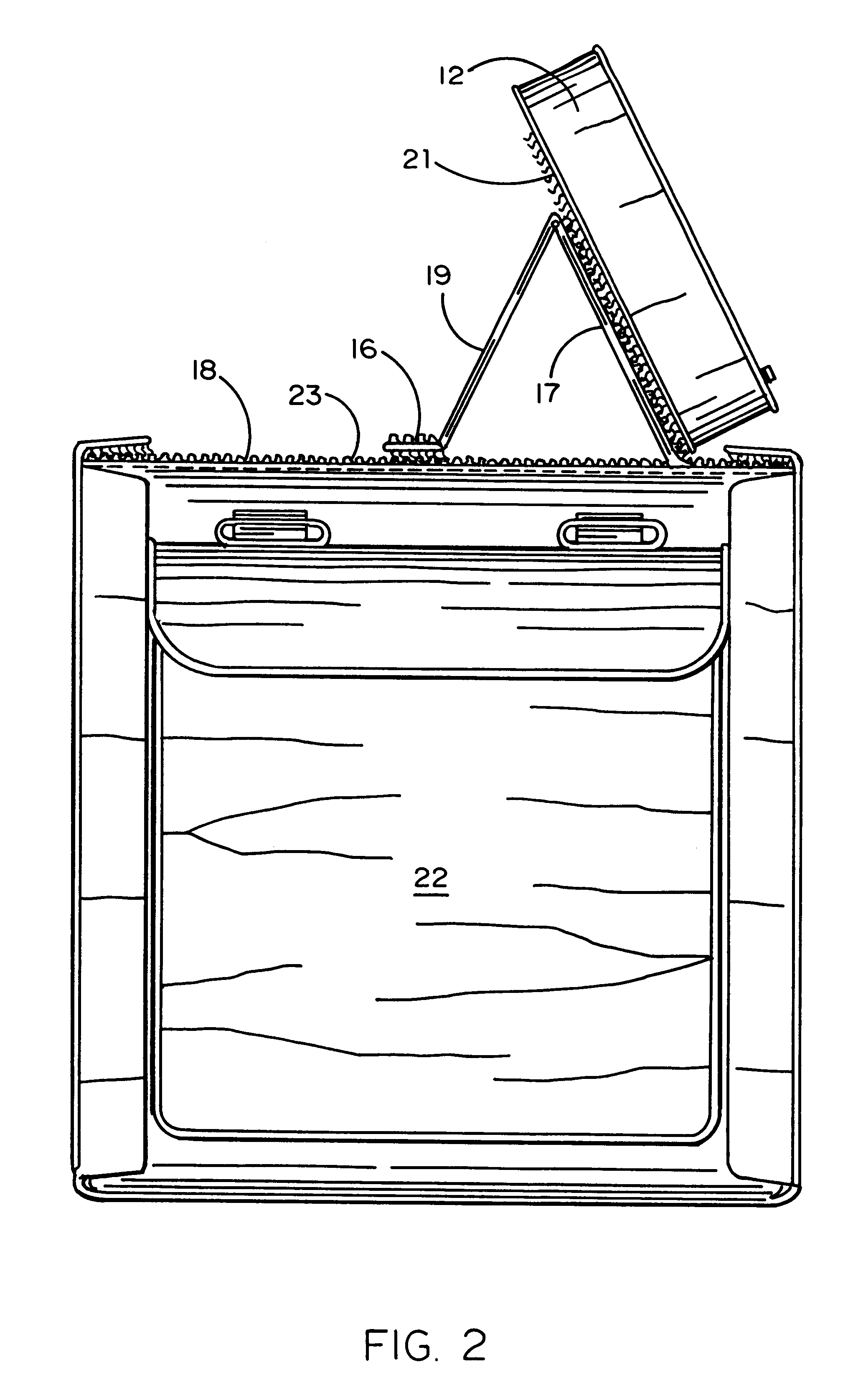 Compartmentalized carrier and presentation bag for portable TV and video media player