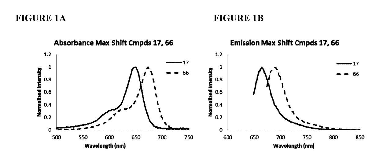 Substituted silaxanthenium red to near-infrared fluorochromes for in vitro and in vivo imaging and detection