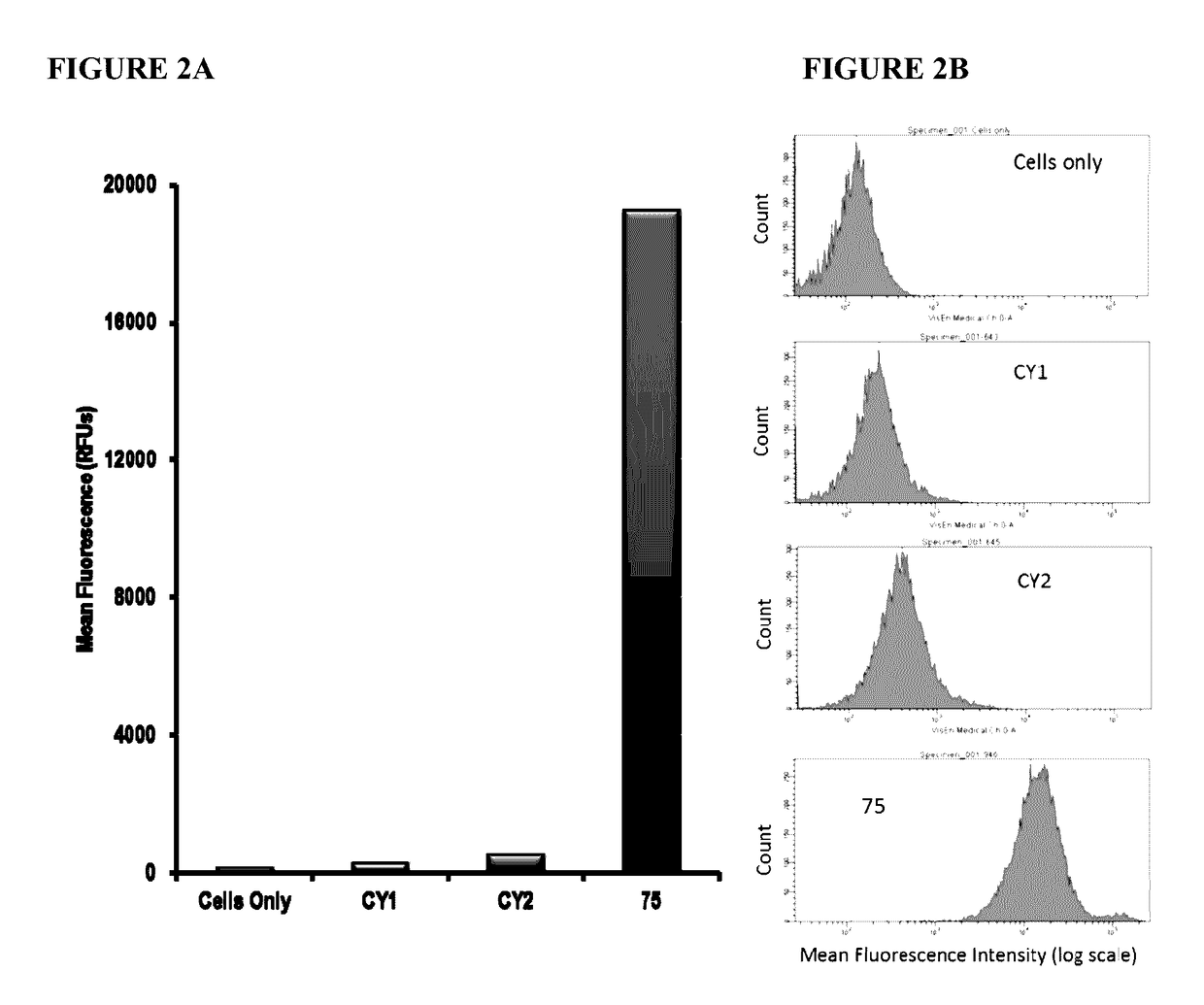 Substituted silaxanthenium red to near-infrared fluorochromes for in vitro and in vivo imaging and detection