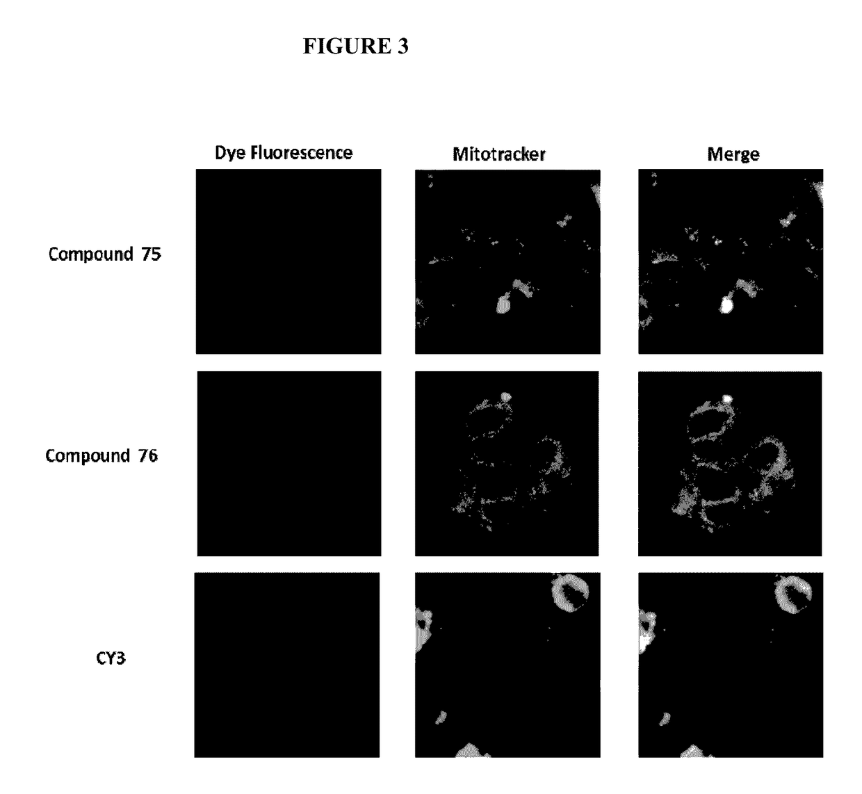 Substituted silaxanthenium red to near-infrared fluorochromes for in vitro and in vivo imaging and detection