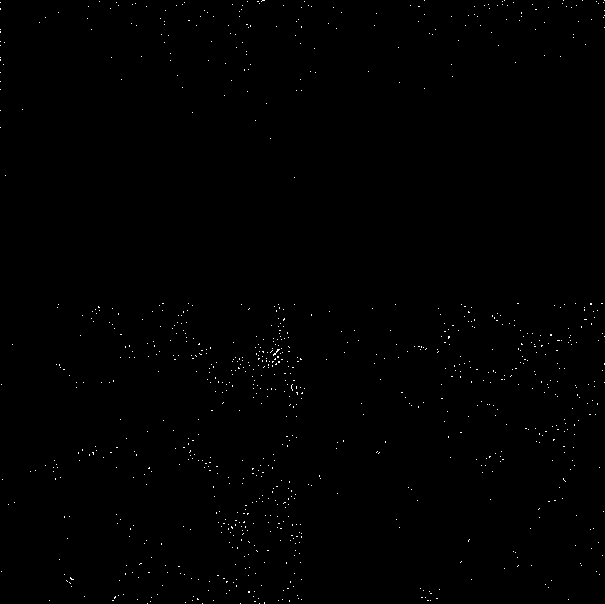 Fluorescent carbon quantum dot, its light-emitting polymer based composite material and preparation method