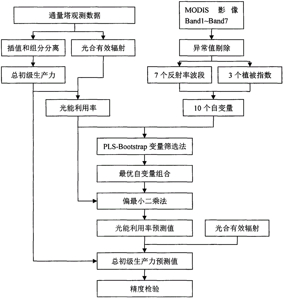 Remote sensing monitoring method of light use efficiency and gross primary production of phyllostachys pubescens forest ecological system