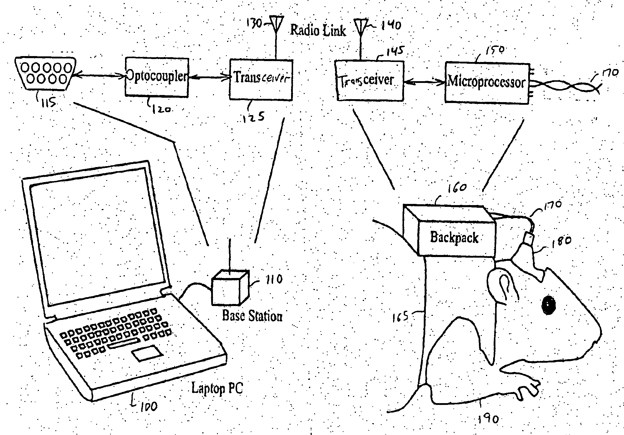 Method and apparatus for teleoperation, guidance and odor detection training of a freely roaming animal through brain stimulation