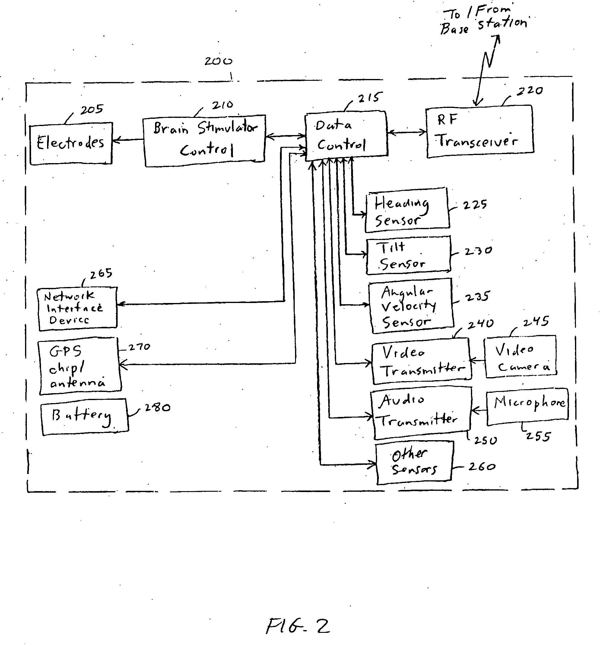 Method and apparatus for teleoperation, guidance and odor detection training of a freely roaming animal through brain stimulation