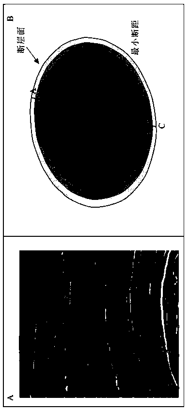 Fault trap oil-bearing height seismic prediction method