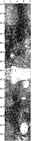 Profound unconsolidated formation visualized detection method