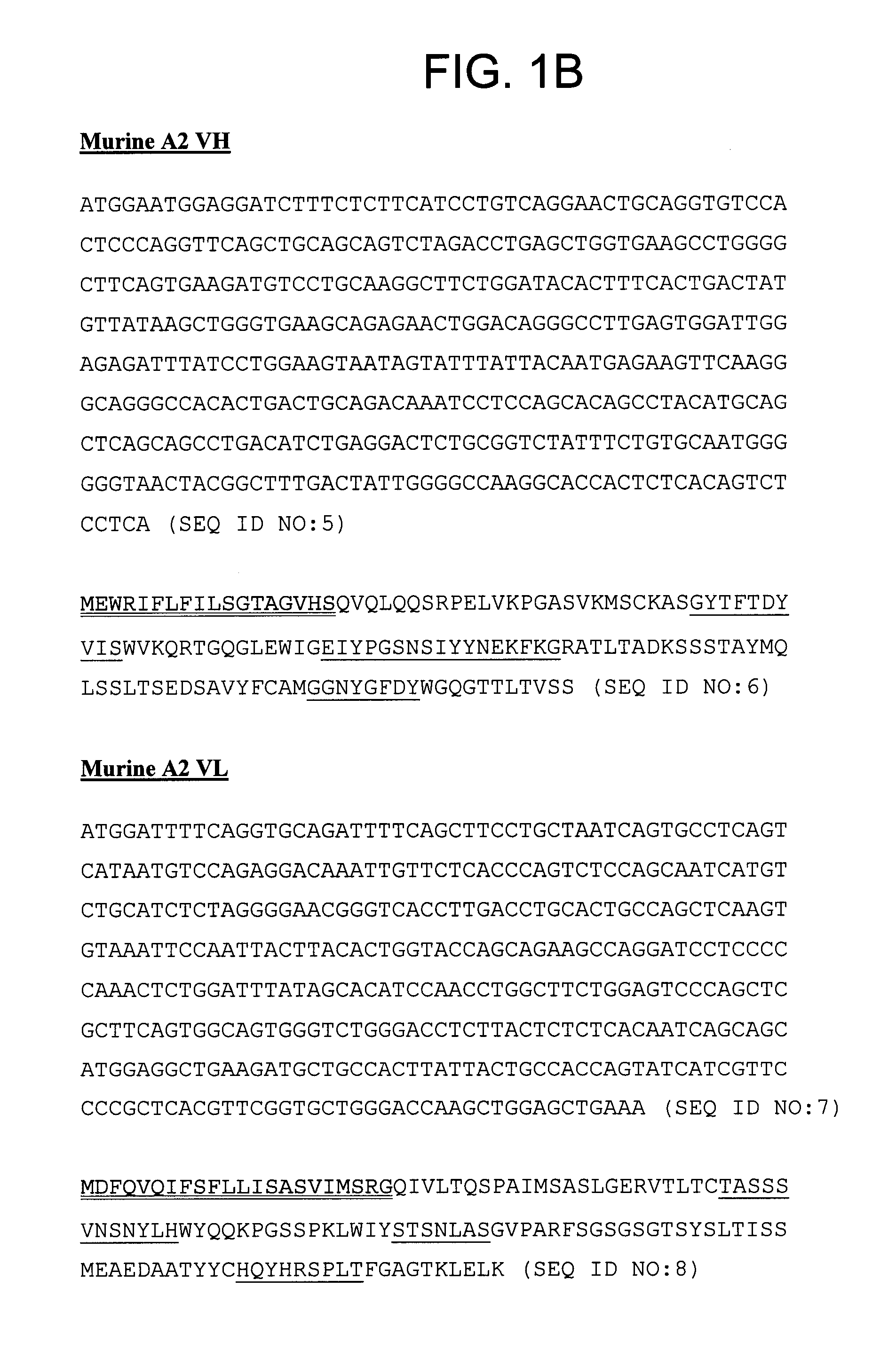 Anti-5T4 antibodies and uses thereof