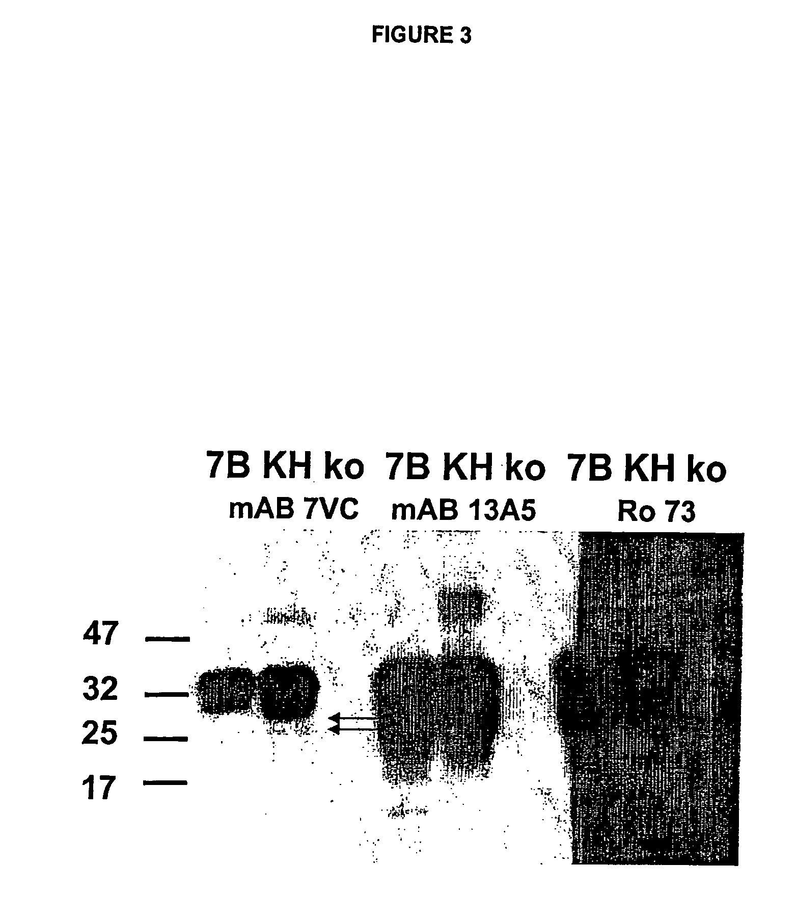 Use of monoclonal antibodies to distinguish protein conformational isoforms