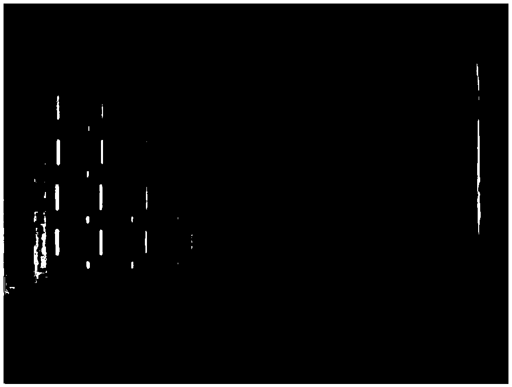 Clamp facilitating PDMS (Polydimethylsiloxane) die releasing and method for preparing PDMS layer thereby