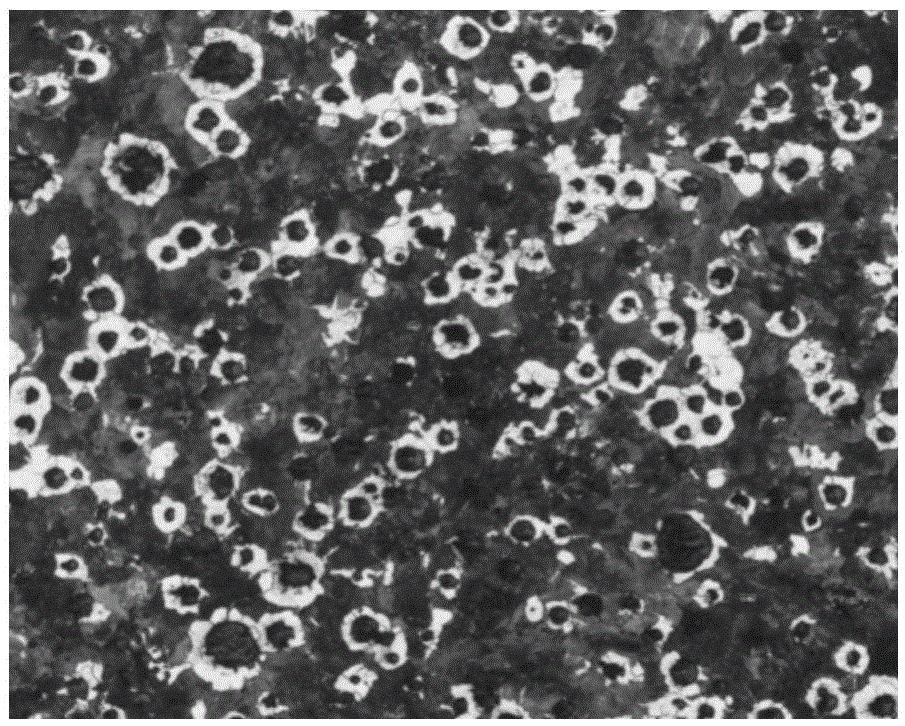 Heat Treatment Process and Application of Ductile Iron Piston Castings