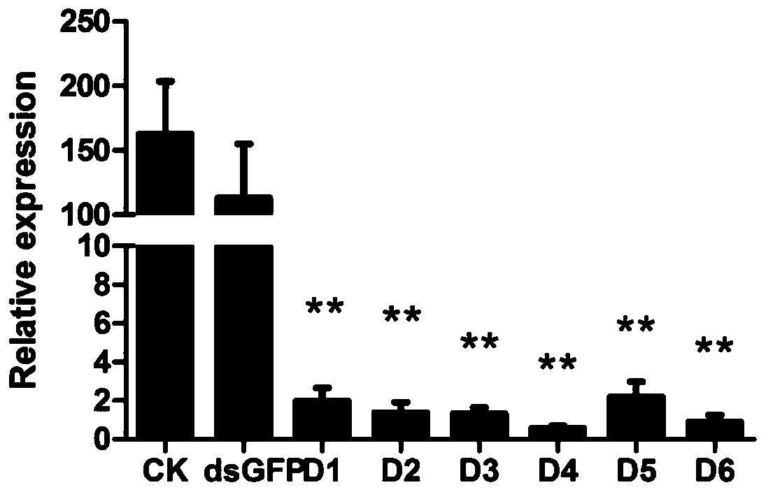 Brown planthopper nlmlp gene, encoded protein and its application