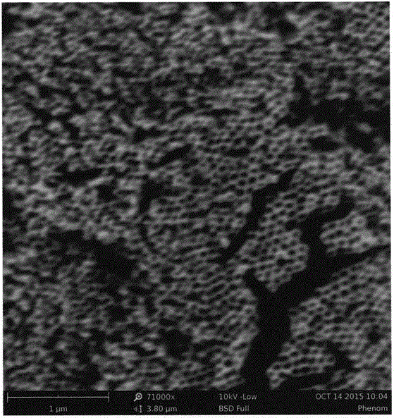 Preparation method of Pd/ZIF-67/TiO2 nanotube composite catalyst