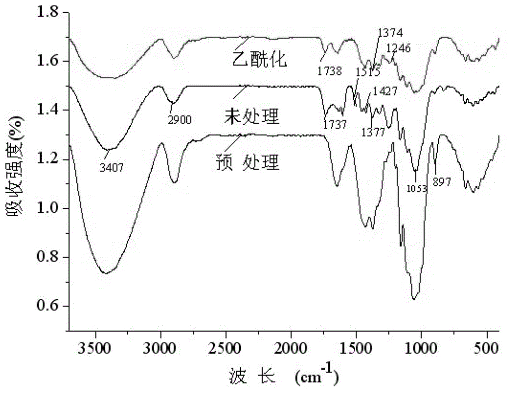 Oil absorption material using cellulose as base and preparation method thereof