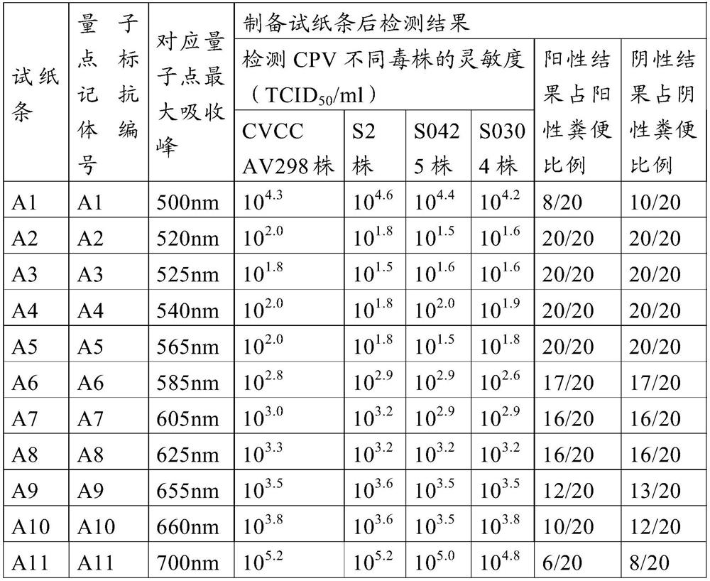 Method for preparing quantum dot labeled anti-canine virus antibody immunochromatographic test strip, prepared test strip and application