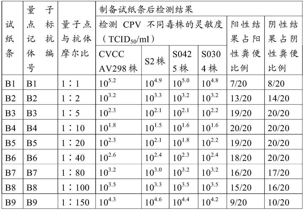 Method for preparing quantum dot labeled anti-canine virus antibody immunochromatographic test strip, prepared test strip and application