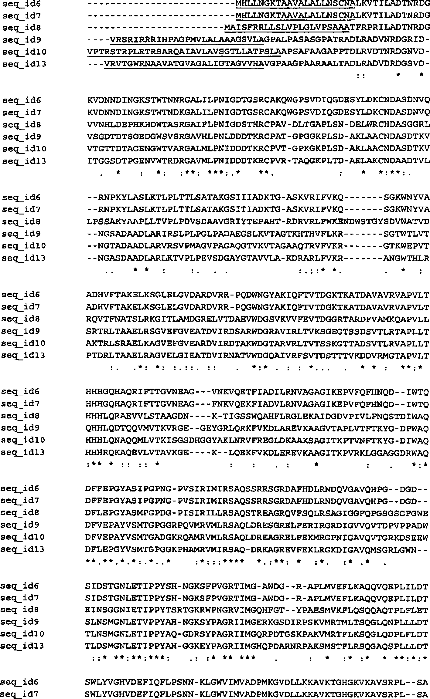 Peptidylarginine deiminase and uses thereof in the production of citrullinated proteins and peptides