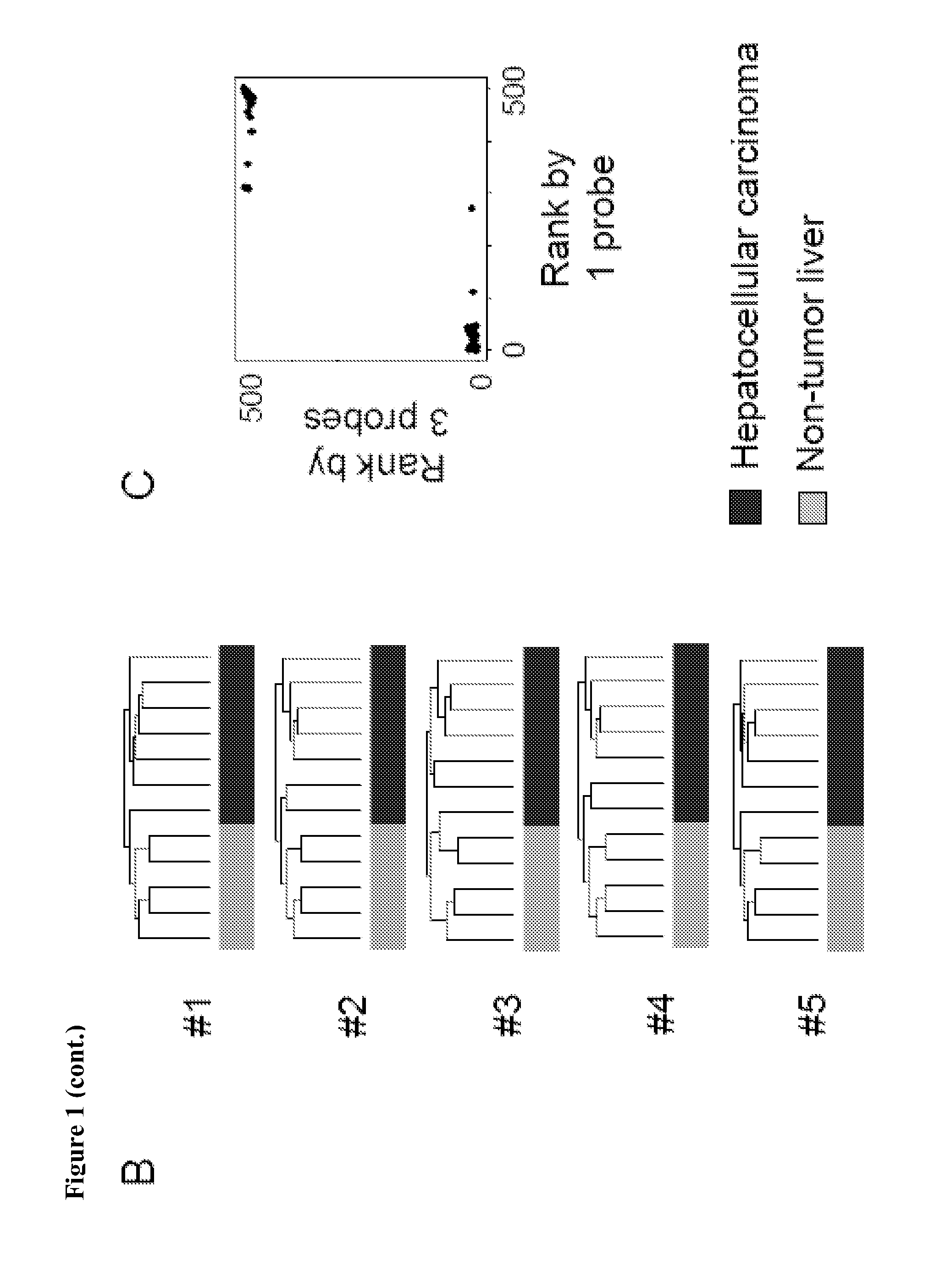 Compositions, kits, and methods for identification, assessment, prevention, and therapy of hepatic disorders