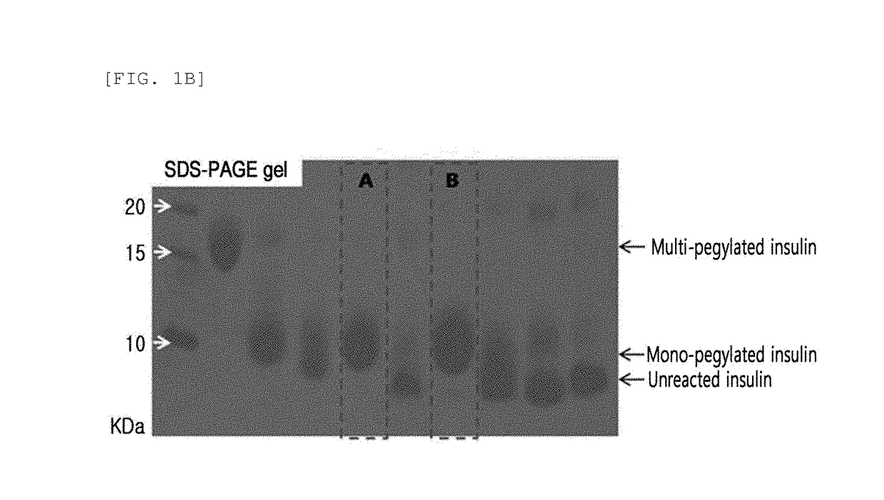 Site-specific insulin conjugate