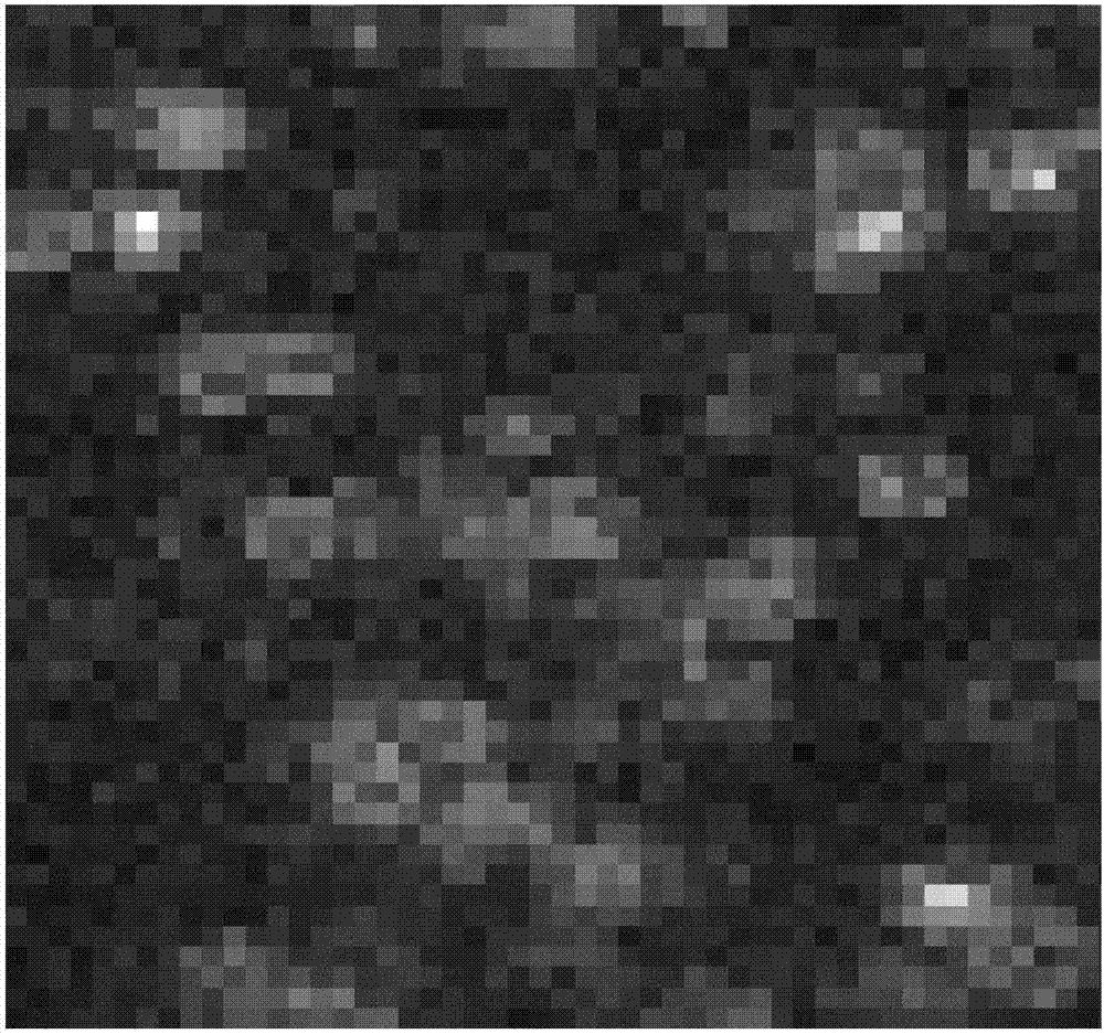 Device and method for increasing contrast ratio of monomolecular optical imaging