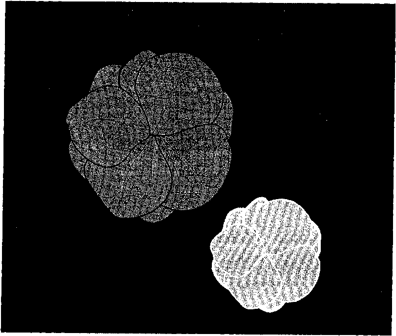 Method of presenting tabulate image with stereoeffect applied on sofa