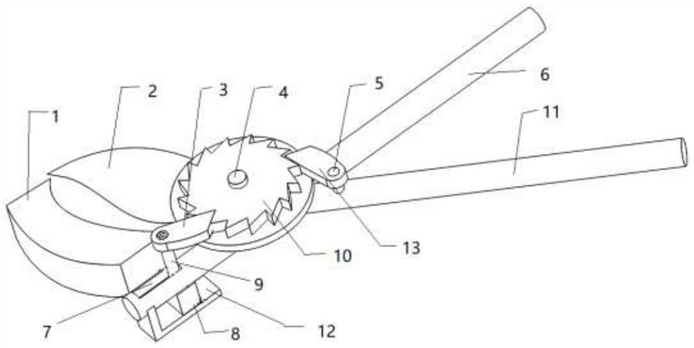 Agricultural pruning tool