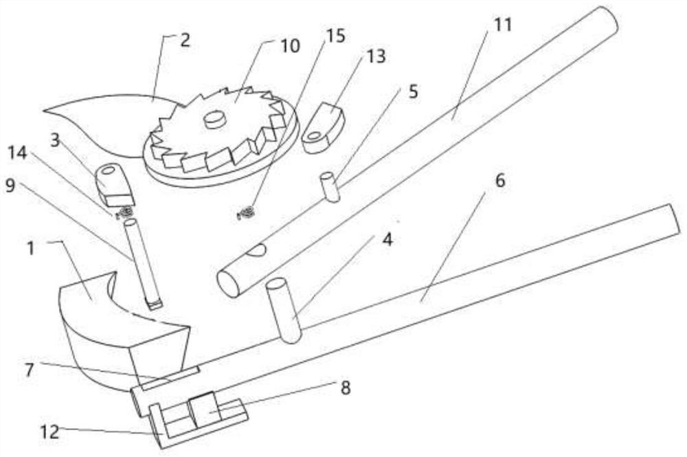 Agricultural pruning tool