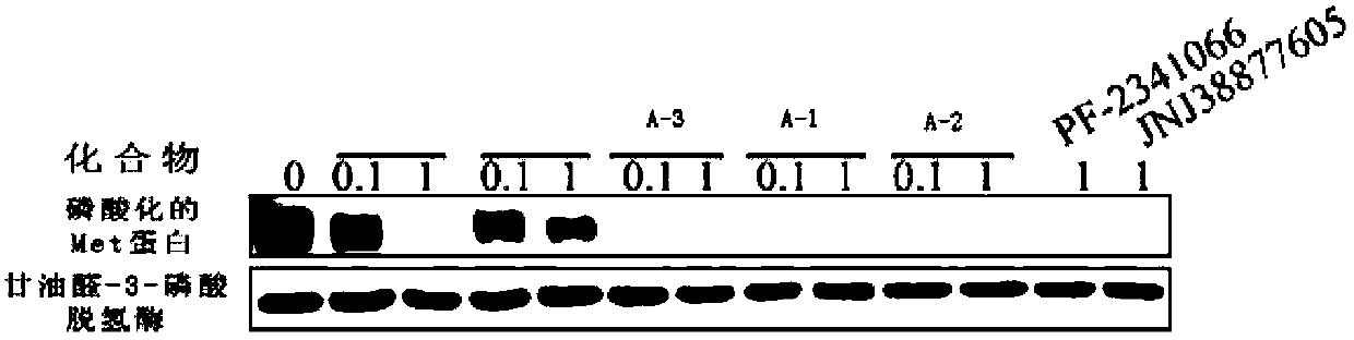 Pyridazinone compounds, their preparation methods, pharmaceutical compositions and uses thereof