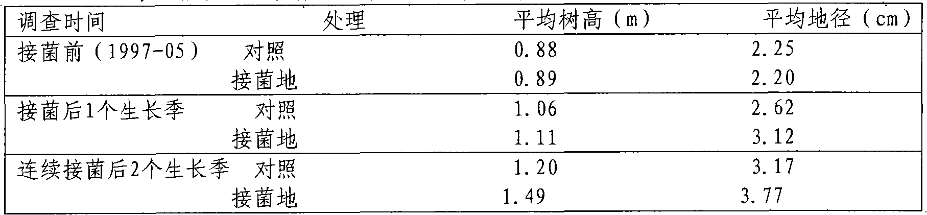 Method for promoting growth of young pinus tabulaeformis plantations