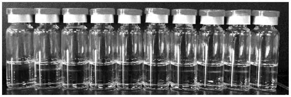 A kind of oral self-microemulsion concentrate of spironolactone