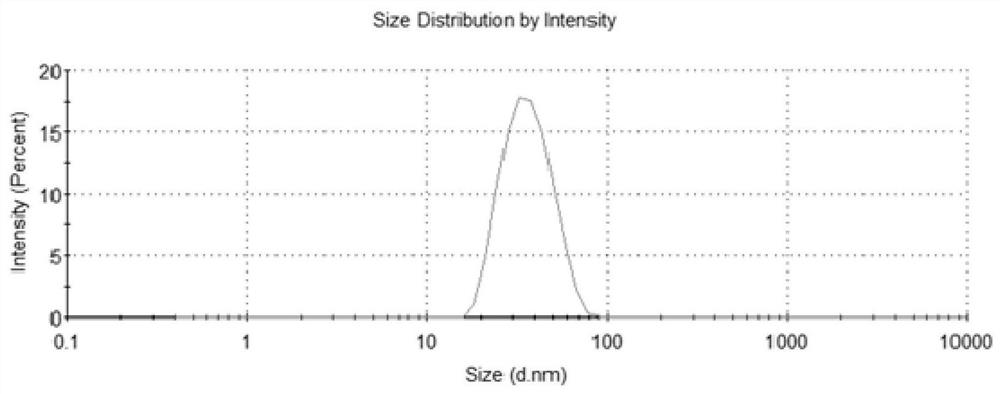 A kind of oral self-microemulsion concentrate of spironolactone