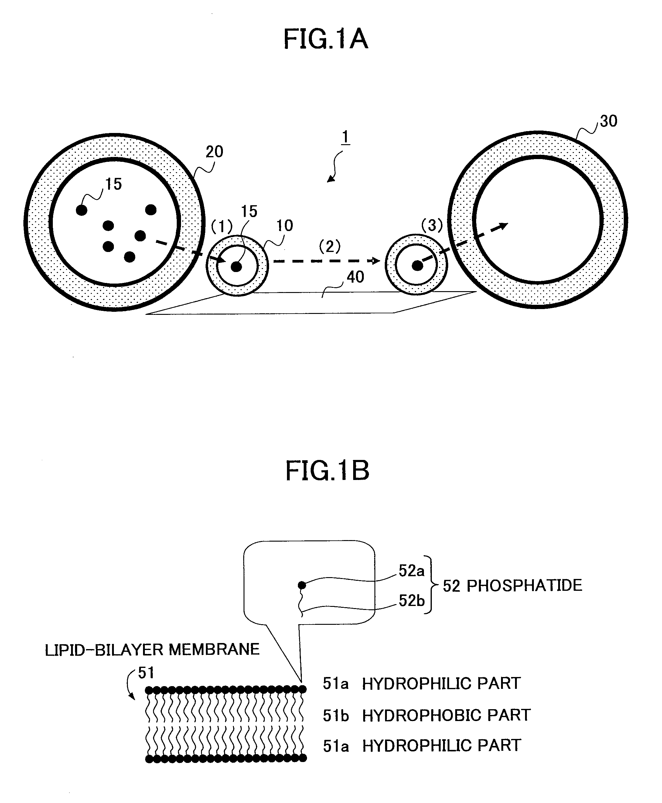 Molecular communication system and molecular communication method