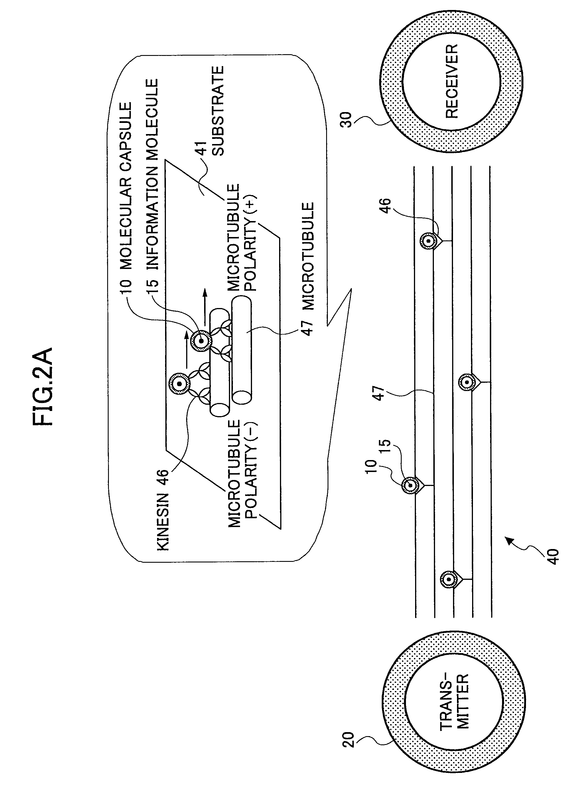 Molecular communication system and molecular communication method