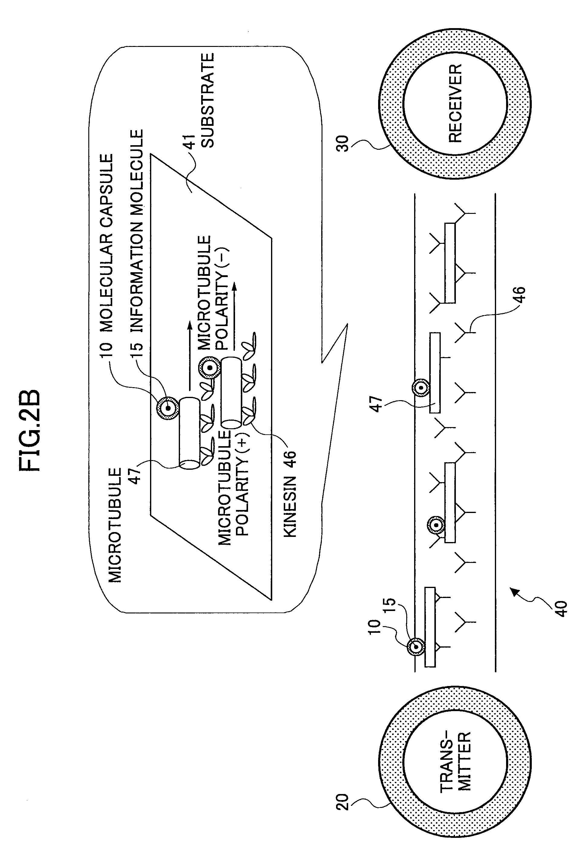 Molecular communication system and molecular communication method