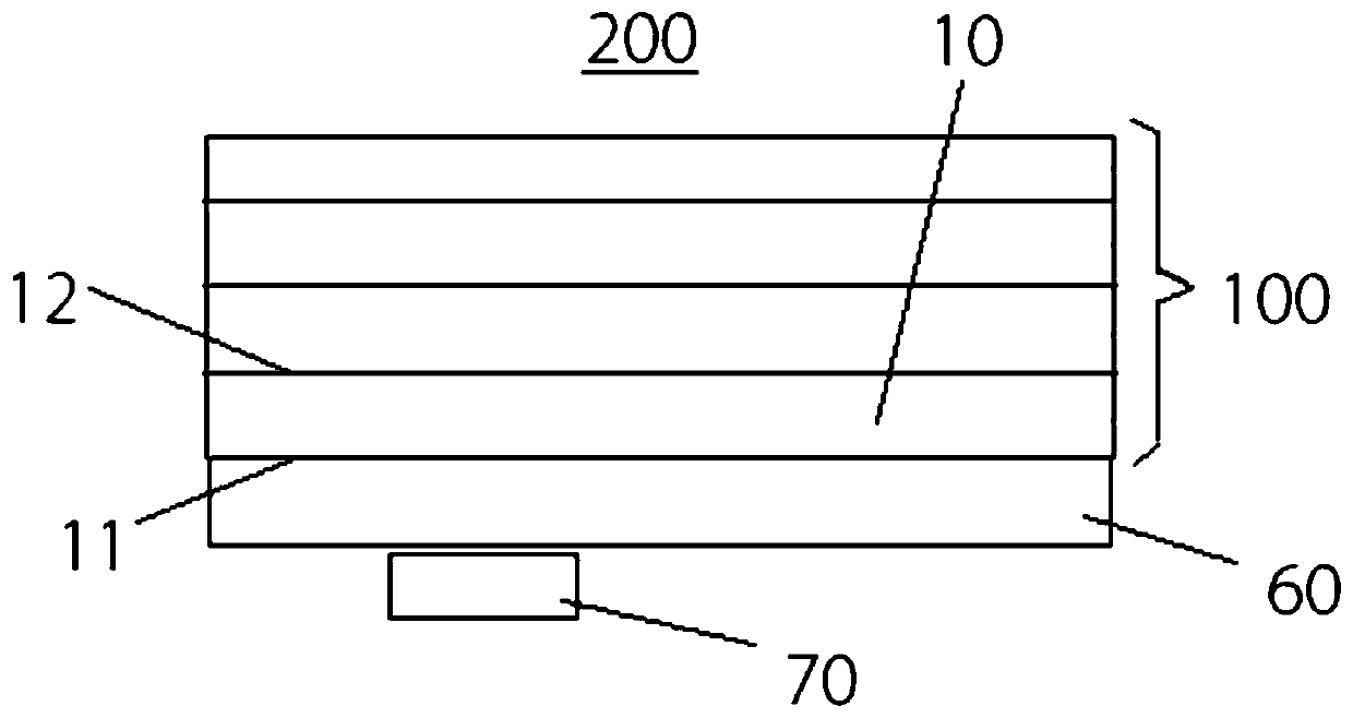 Screen protection film and electronic equipment