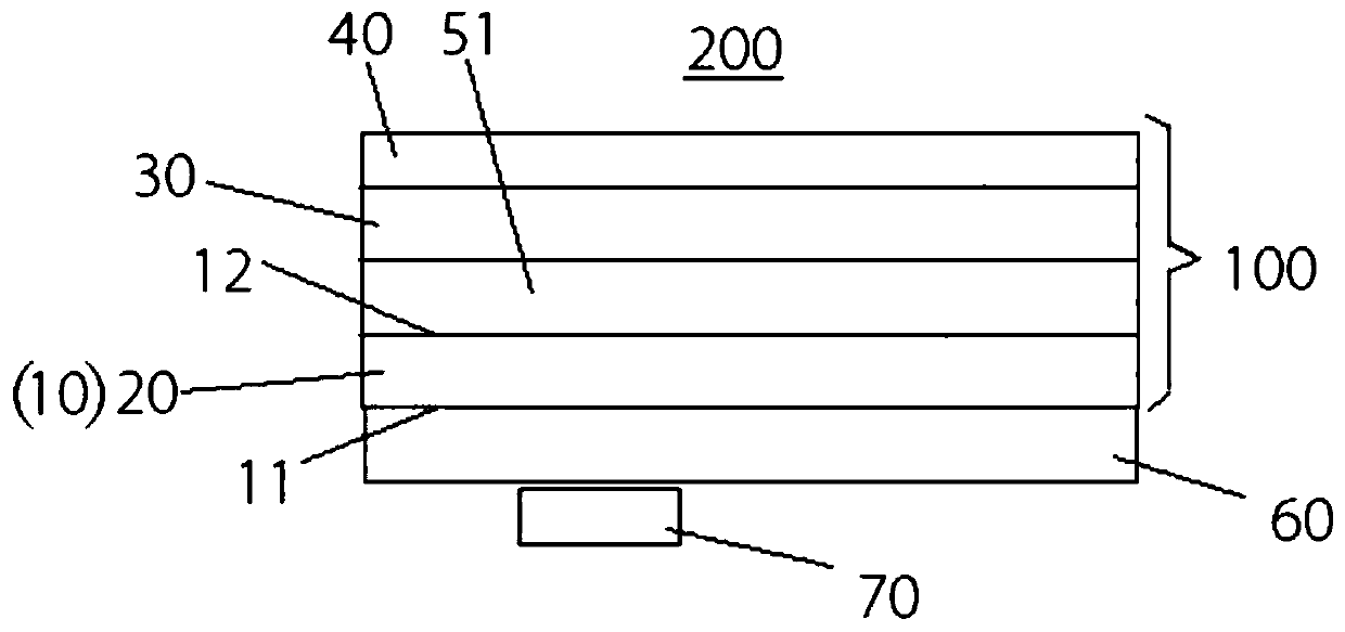 Screen protection film and electronic equipment