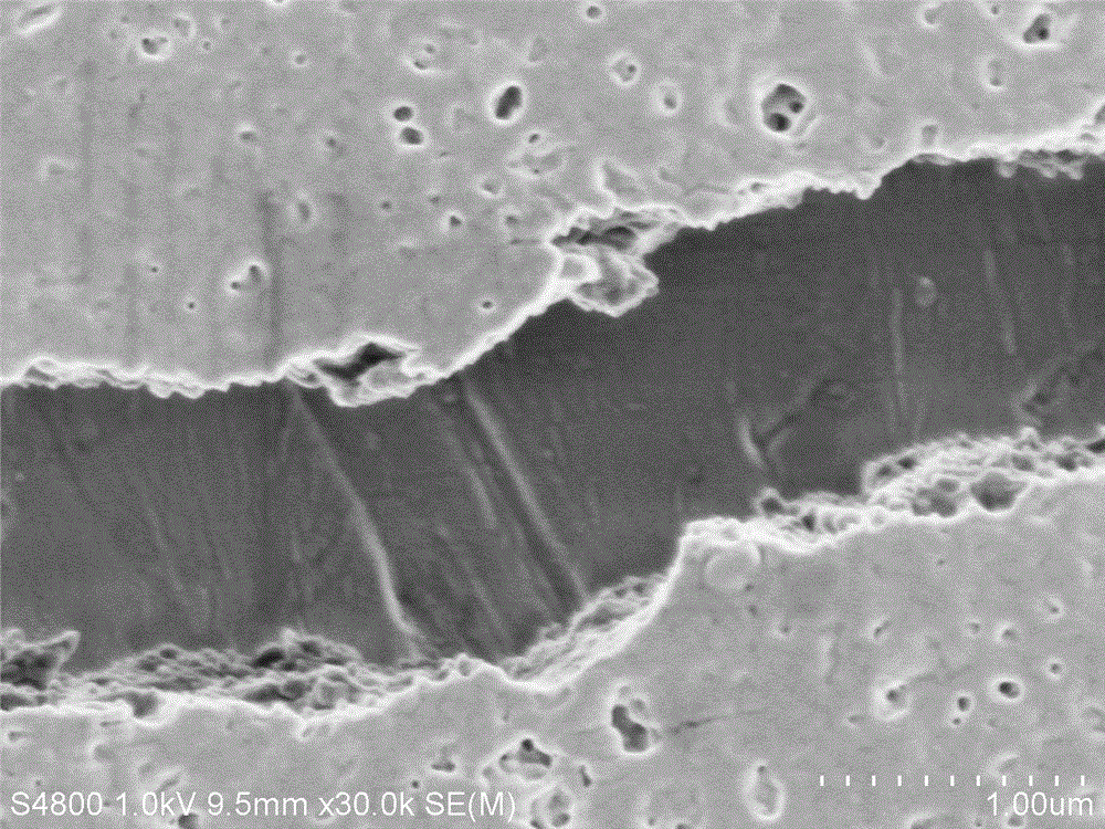 Electrodeposition preparation method of a photocrosslinked bio-based coating