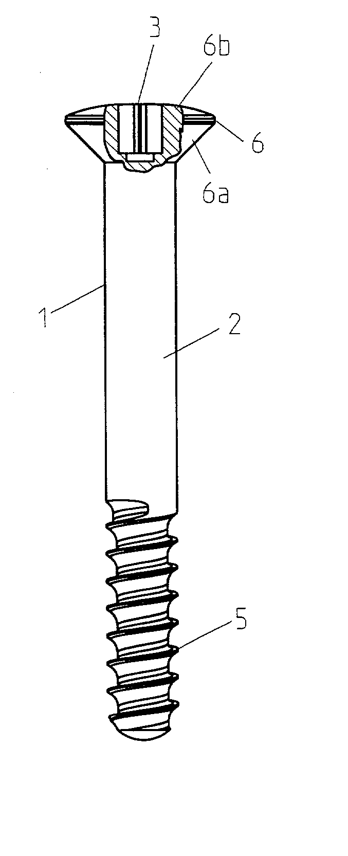 Surgical screw and tool for its insertion