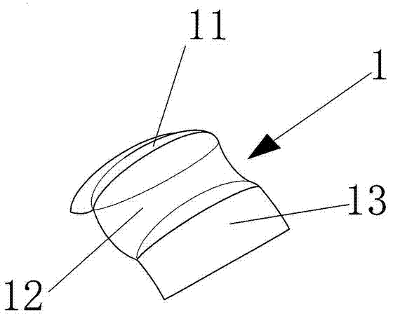 Bionic sand crossing vehicle wheel drum-shaped wheel face which imitates 3D curved face of sole of ostrich