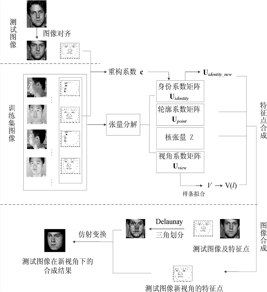 Multi-view face synthesis method based on tensor resolution and Delaunay triangulation