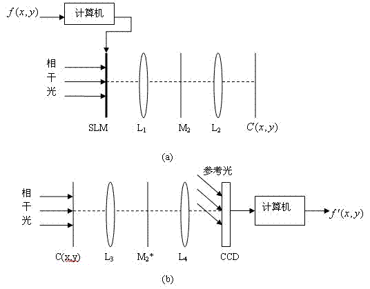 Score Mellin transform-based optical image encryption method