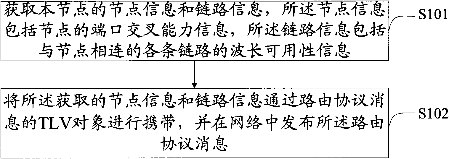 Method, device and system for routing protocol message issuance and routing computation