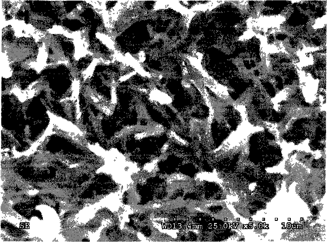 Process for producing super-double-thinning surface for metal corrosion protection and oil stain self-cleaning