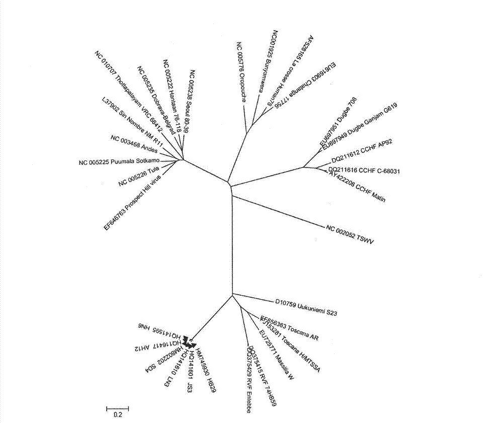 Entire gene sequence of severe fever with thrombocytopenia syndrome virus (SFTSV) and application