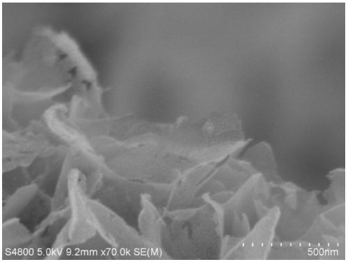 Iron-doped copper sulfide nanosheet material with rich defects and preparation method and application thereof