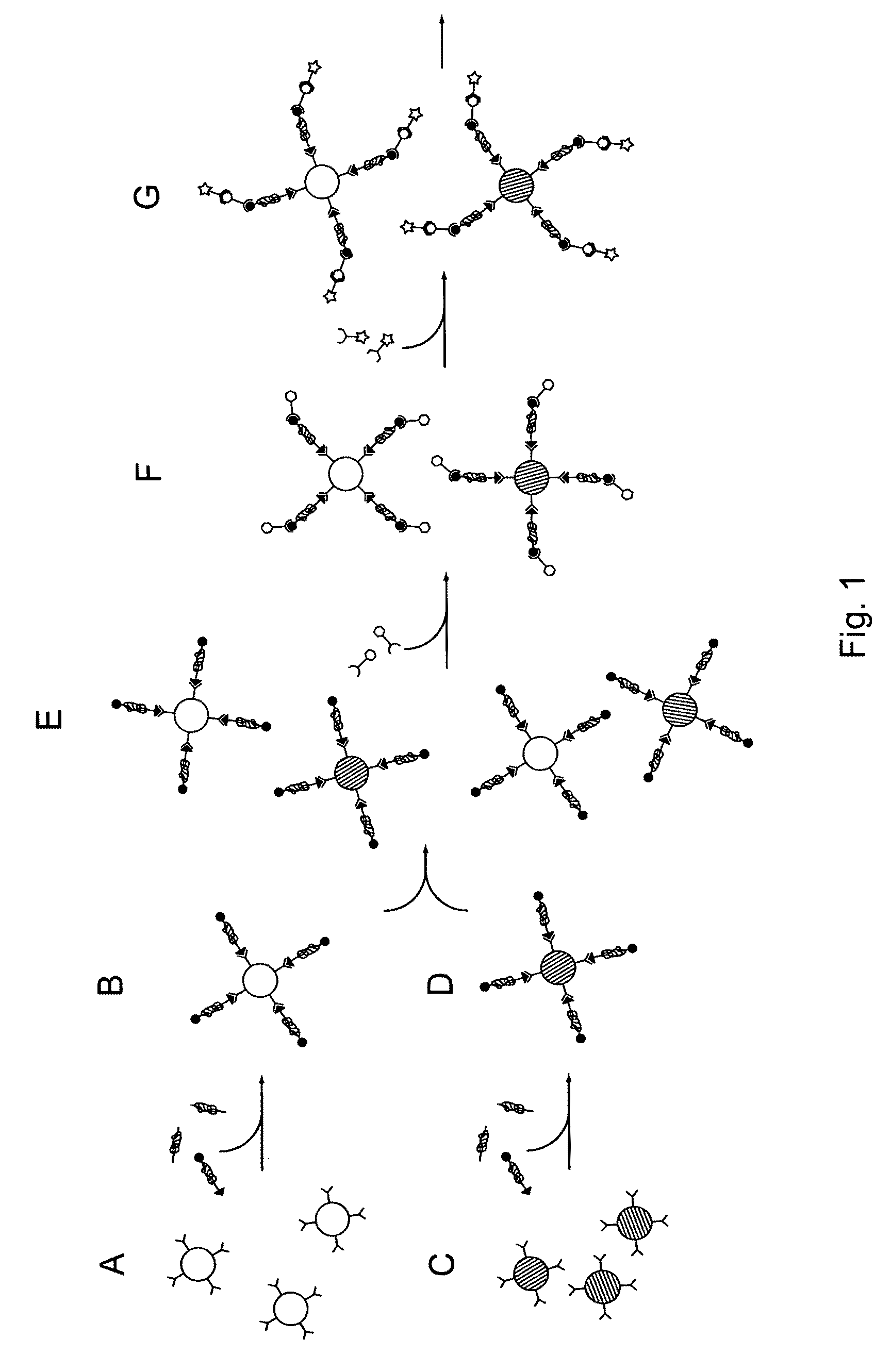 Highly multiplexed particle-based assays