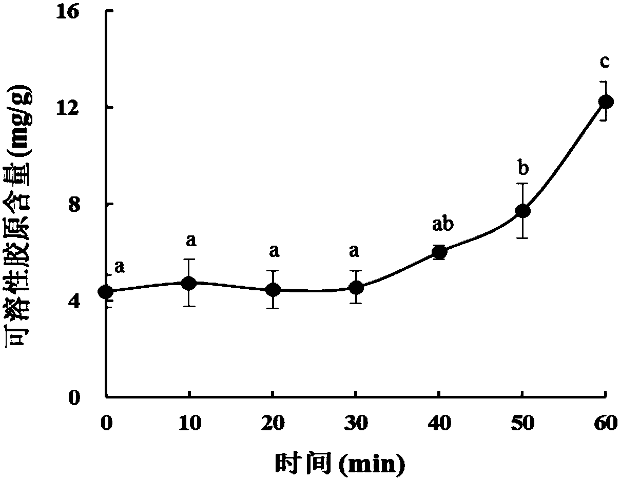 Method for tenderizing sea cucumbers based on biological enzymes